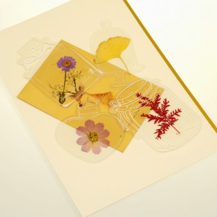 透明书签干花压花真树叶植物标本diy手工书签塑封膜流苏粘贴卡纸