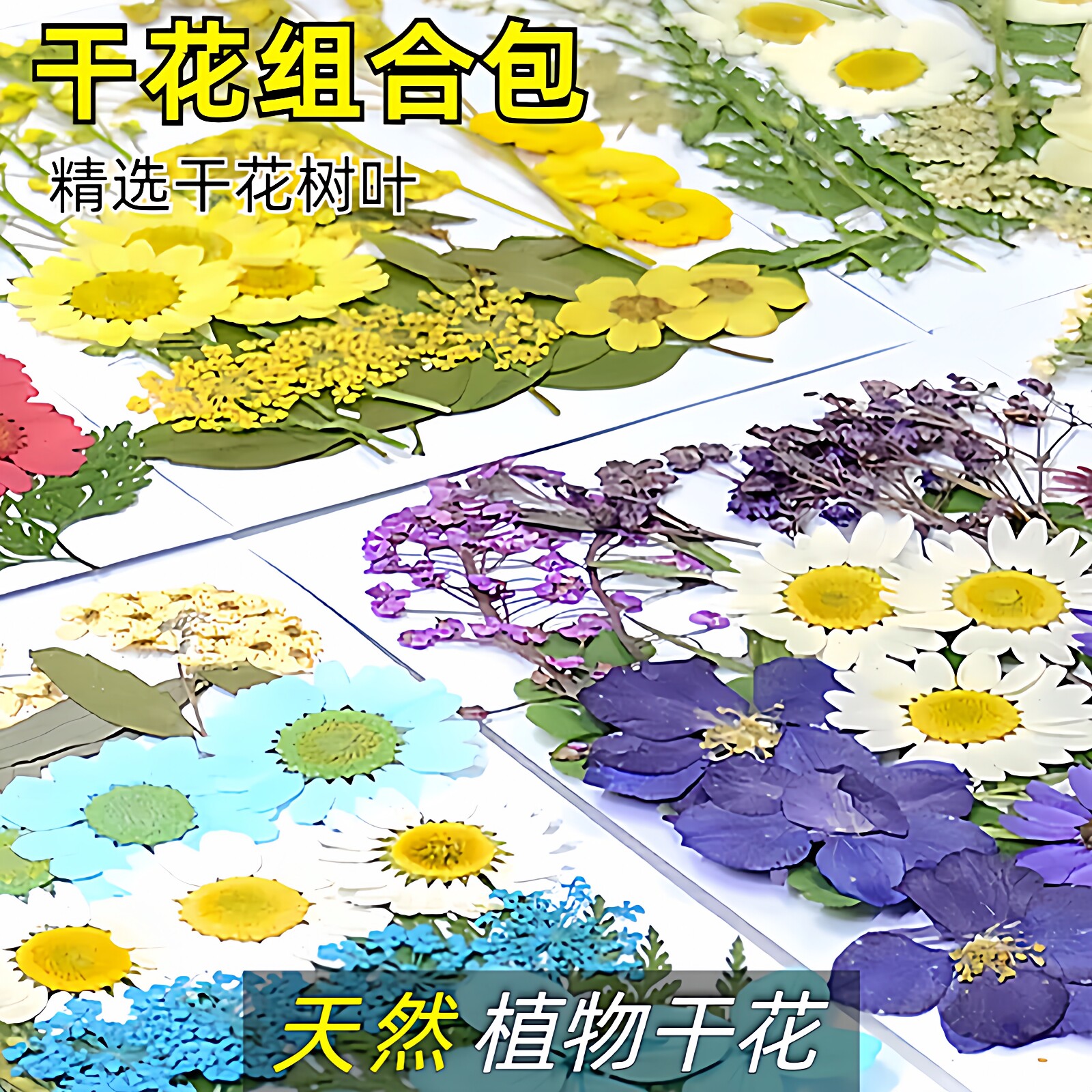 干花压花押花DIY材料包真树叶植物标本 幼儿园手工拼贴画滴胶相框
