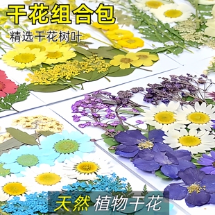干花压花押花DIY材料包真树叶植物标本 幼儿园手工拼贴画滴胶相框