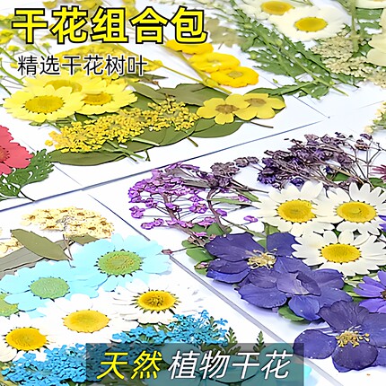 干花压花押花DIY材料包真树叶植物标本 幼儿园手工拼贴画滴胶相框