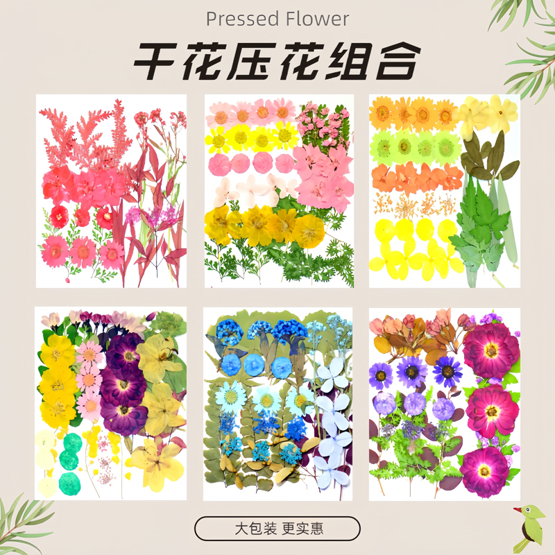 45片干花压花材料包植物标本天然