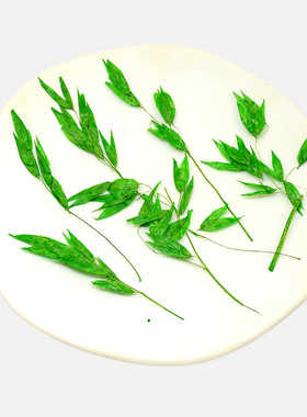 燕麦叶树叶粘贴画植物标本干花