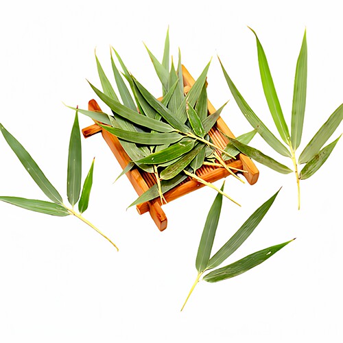 真植物标本竹子叶子风干花