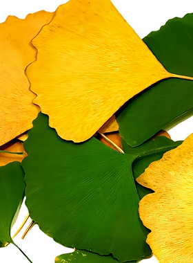 银杏叶 压花干花押花树叶粘贴画植物标本书签秋天黄色叶子落叶diy