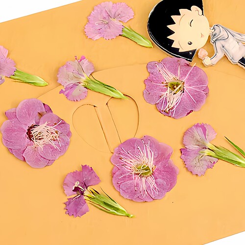 梅花相思梅真花压花押花