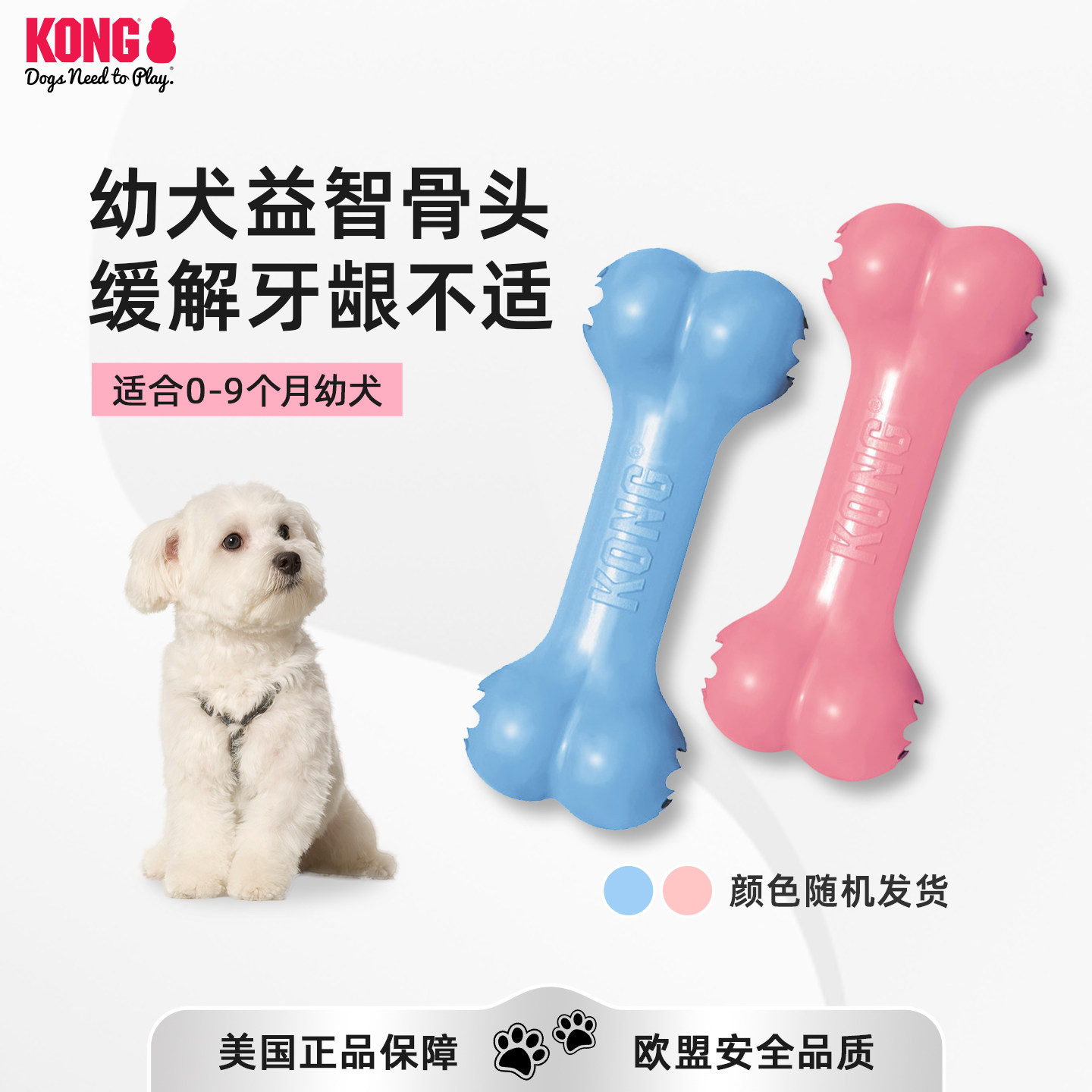 kong漏食骨头玩具幼犬比熊磨牙棒