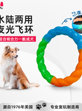 KONG狗狗玩具夜光飞环磨牙解闷中小型犬宠物户外训练飞碟飞盘玩具