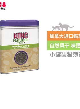 KONG猫零食猫薄荷食用自嗨玩具天然薄荷球罐装猫咪清新口气