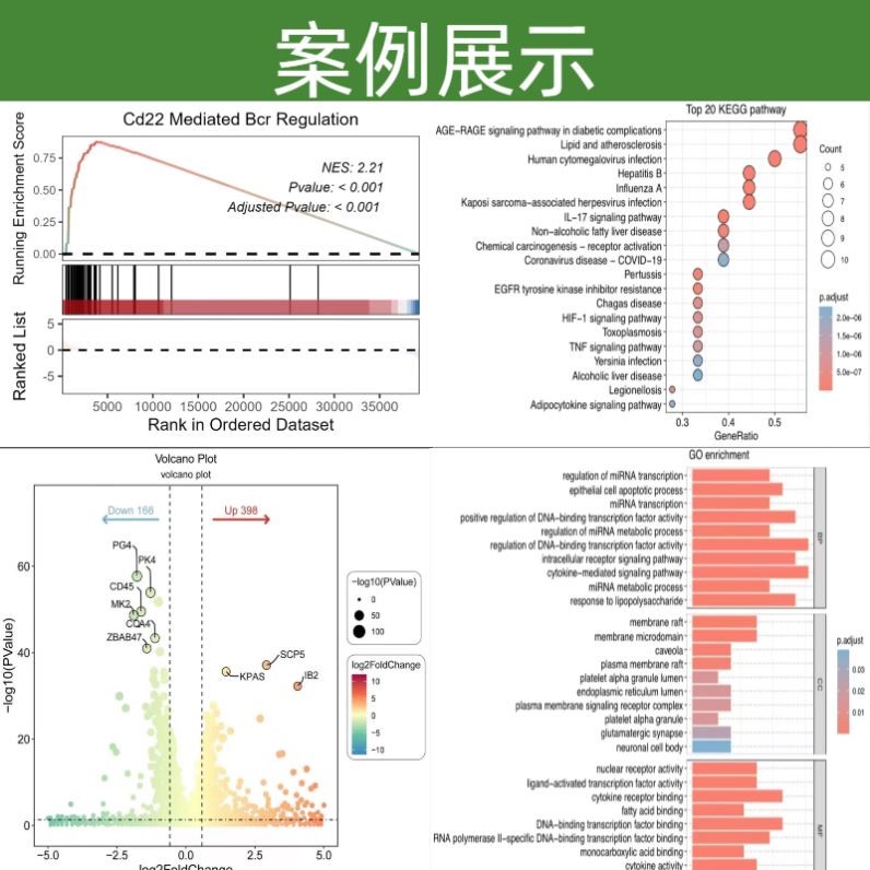 生信分析生物信息学TCGA GEO数据库挖掘单细胞测序分析网络药理学