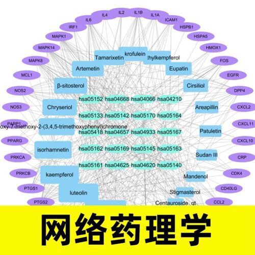 生信分析服务单细胞分析TCGA GEO公共数据库挖掘分子对接基因分析