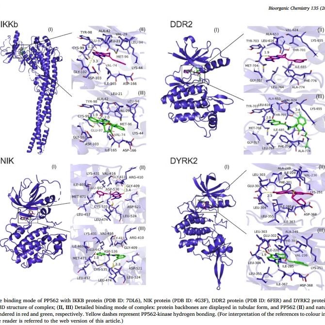 分子对接 共价对接 批量虚拟筛选 蛋白与蛋白 DNA/RNA-蛋白 柔性图片
