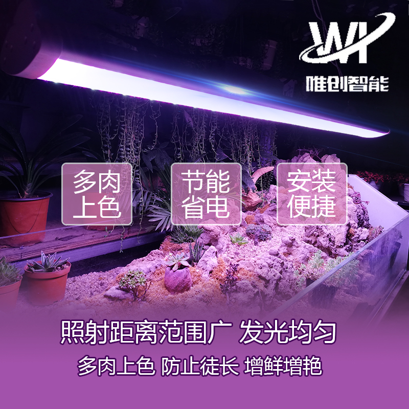 多肉补光灯上色全光谱LED植物生长灯温室大棚室内兰花卉仿太阳光|ruв категории награду материалов, огни освещения, функциональный светильник, вегетативная лампа - от Buy2taobao.com для оказания профессиональной услуги покупки агента Taobao