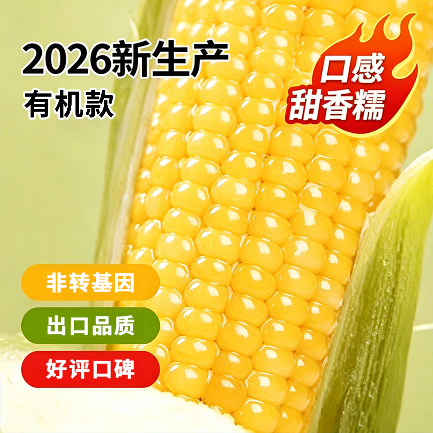 析芮东北有机黄糯玉米新鲜真空装黄糯玉米棒香甜软糯粘苞米10根