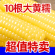 析芮东北有机新鲜黄糯玉米香嫩粒棒真空装 低脂代餐主食官方旗舰店