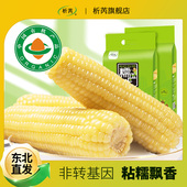 析芮白糯玉米250g 20根 真空东北软糯香甜甜黏玉米粗粮