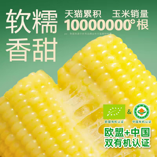 析芮东北有机新鲜黄糯玉米香嫩粒棒真空装低脂代餐主食官方旗舰店