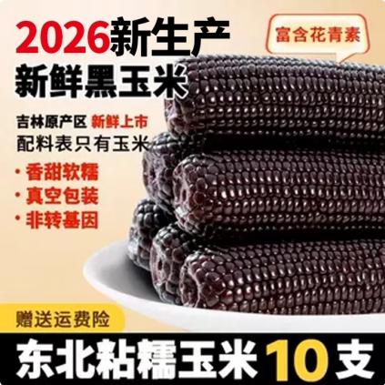 析芮干燥贮存东北玉米