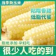 粘糯玉米新鲜正宗东北白糯玉米苞米代餐早餐 析芮铝箔包装 试吃