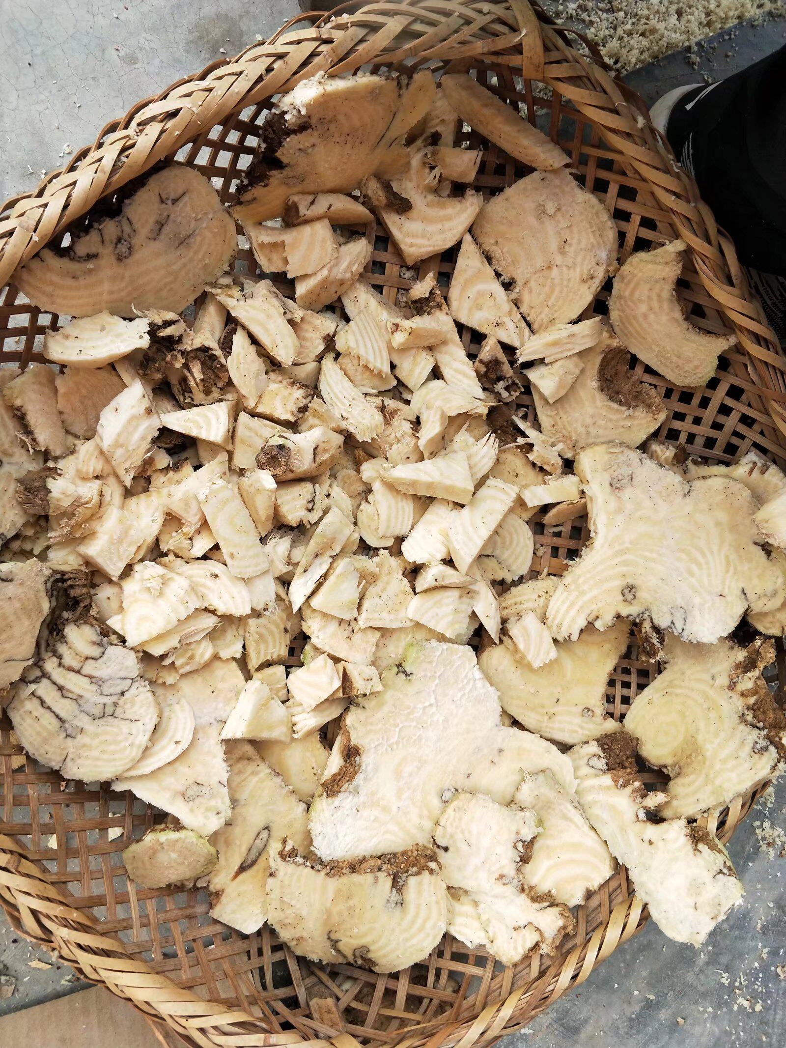 见肿消 商陆根块 山萝卜根块 章柳 牛大黄自然晒干200克