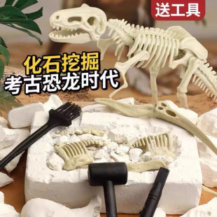 恐龙化石考古挖掘玩具霸王龙翼龙骨架拼装模型二年级下册科学