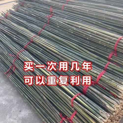 竹竿蔬菜攀爬搭架阳台庭院围栏