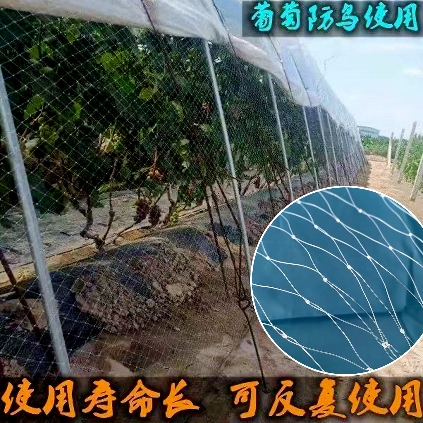 农用尼龙拦鸟网樱桃葡萄防鸟
