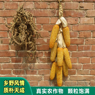 干玉米棒子装饰农家乐农作物挂件玉米串丰收节教学道具宠物口粮
