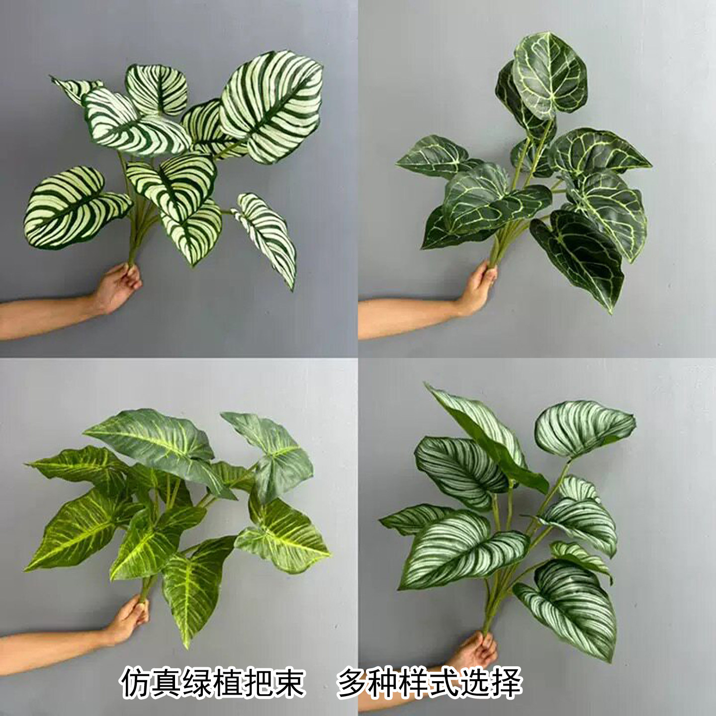 仿真12头芋头叶孔雀竹芋过胶叶片