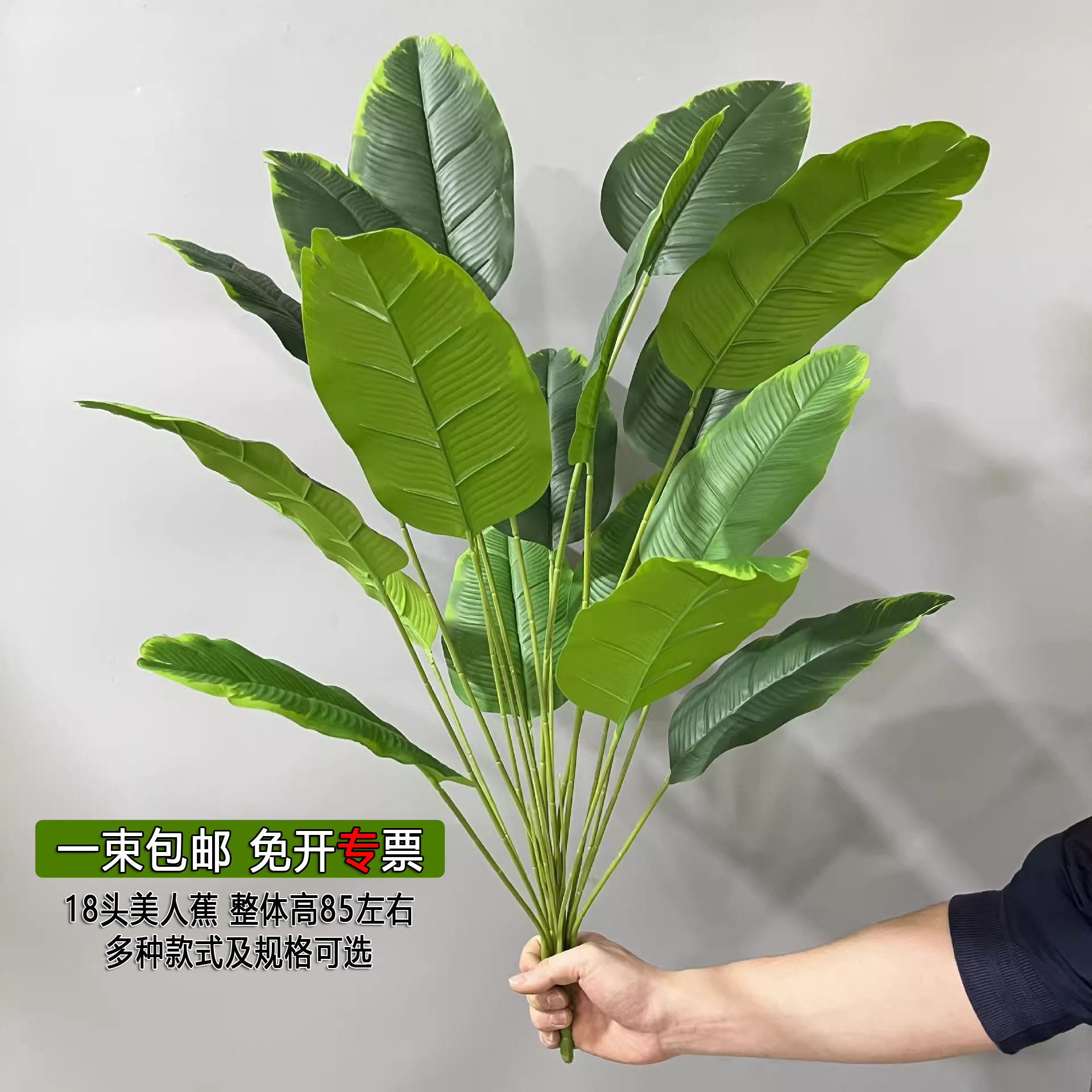 仿真植物旅人蕉美人蕉过胶丝印18头芭蕉叶装饰假花天堂鸟-封面