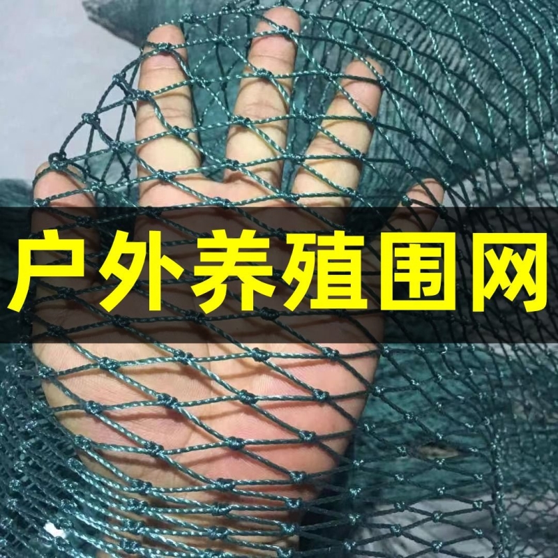 养鸡网养殖网塑料尼龙网拦鸡网围鸡网家禽塑料网护栏网菜园防护网