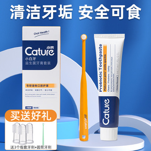 可食用刷牙神器牙结石牙齿清洁用品 小壳宠物牙膏猫咪狗狗牙刷套装