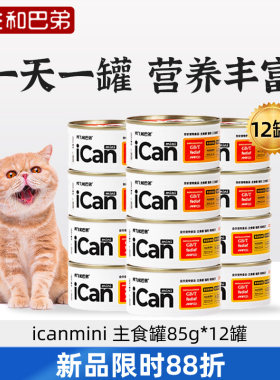 阿飞和巴弟icanmini主食罐