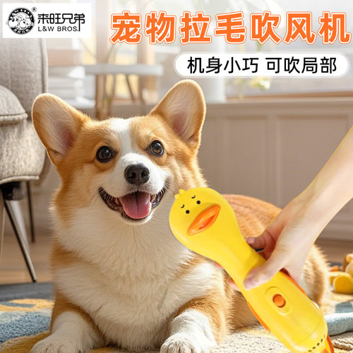 来旺兄弟狗狗吹风拉毛一体机宠物猫咪洗澡吹风机比熊拉毛泰迪专用