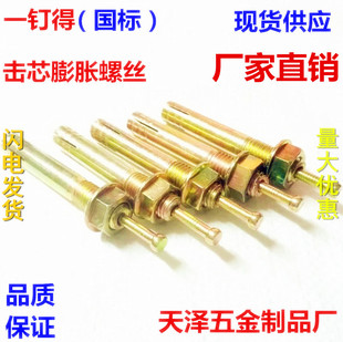 举升机膨胀击芯膨胀螺丝锤击式 M18M20M22M24 壁虎一钉得膨胀敲击式
