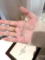 "Twin Four-Leaf Clover" pure silver s999 necklace, a light luxury and niche design for women, Valentine's Day collarbone chain birthday gift thumbnail 6