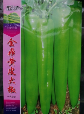 金鼎黄皮大椒尖椒种籽早熟羊角椒种子黄绿皮大果型耐热耐寒高