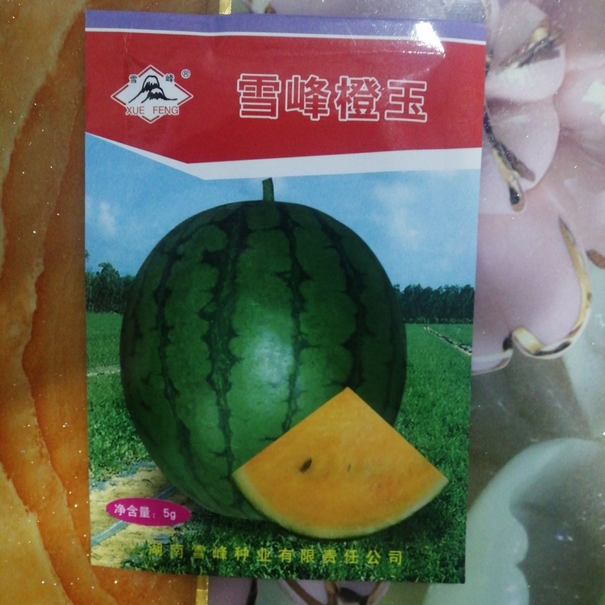 雪峰橙玉礼品西瓜早熟金蜜兰中型礼品西瓜