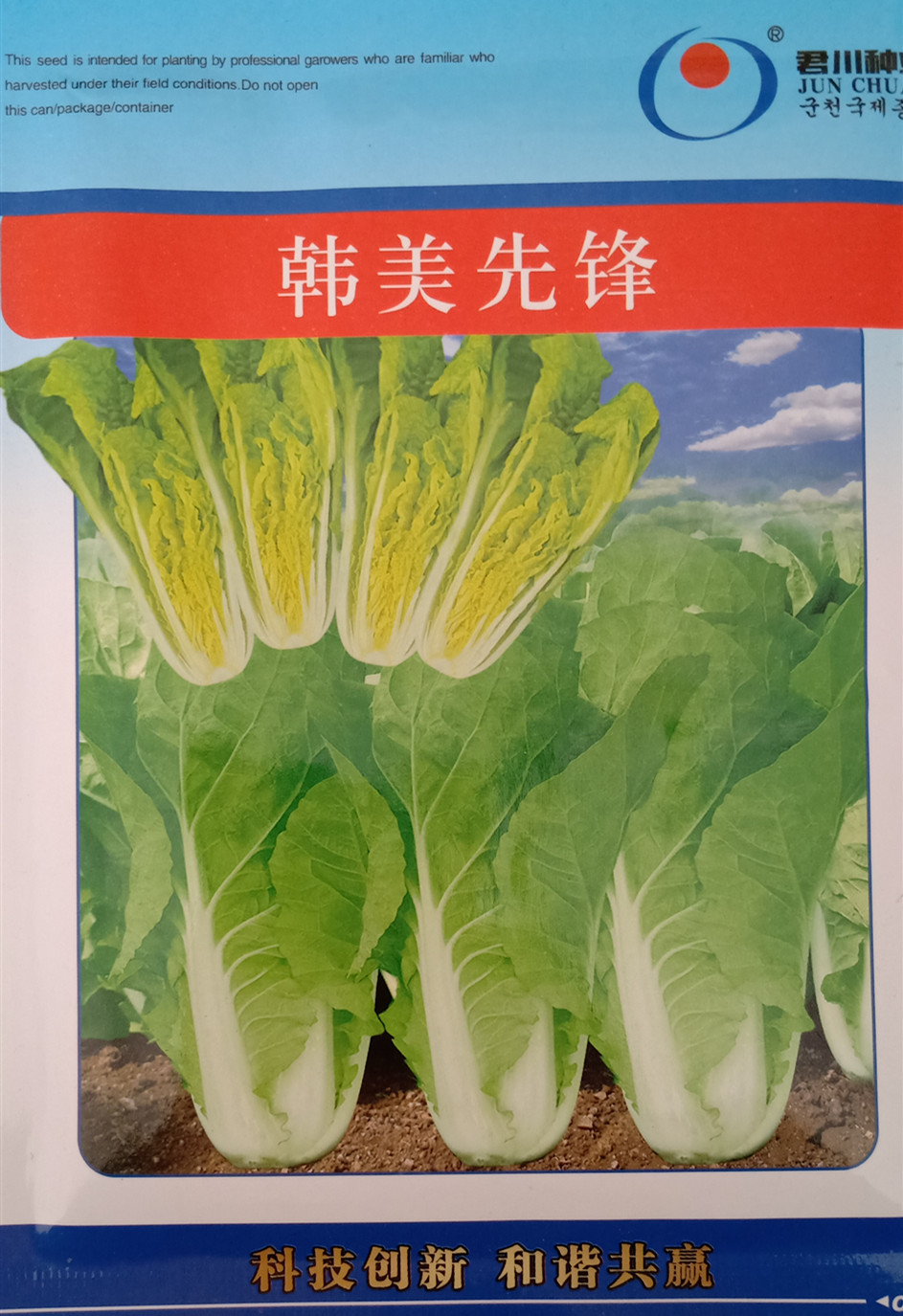 娃娃菜种子君川韩美先锋黄芯小白菜快菜种子无刺毛抗病春秋种子