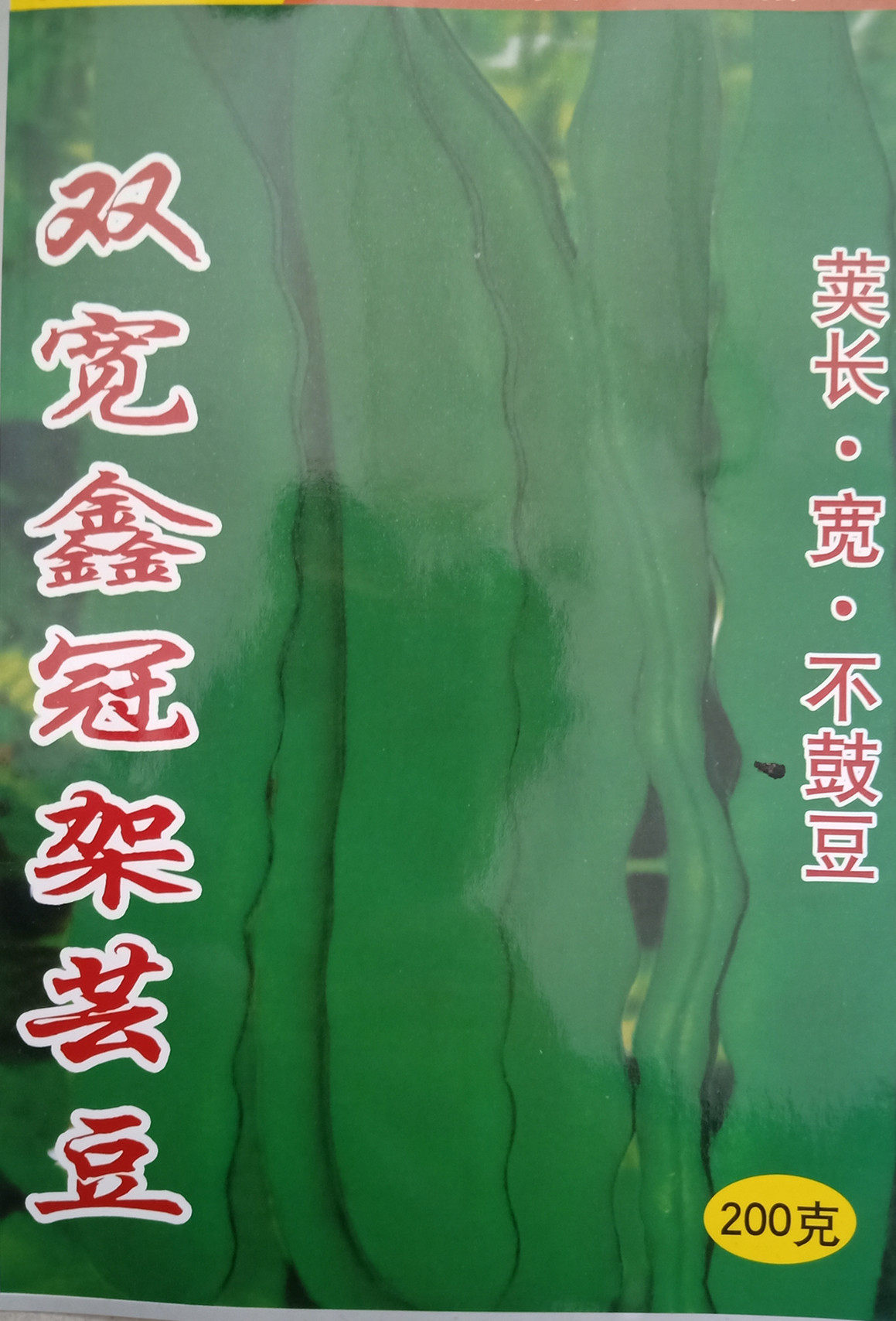 荷兰双宽鑫冠架芸豆种子大棚