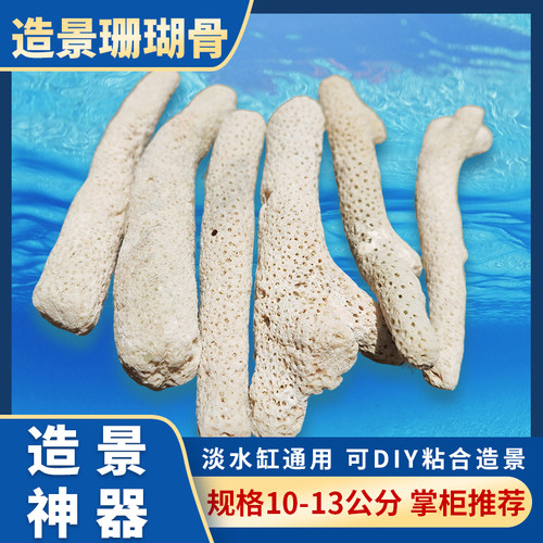 珊瑚骨鱼缸造景修饰鱼缸天然造景