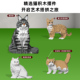 JEKCA积卡加菲猫缅因猫英短美短银渐层金渐层短毛猫中国积木摆件