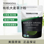 大麦草汁粉轻体矿物质蛋白质 Superfoods 美国原装 Terrasoul