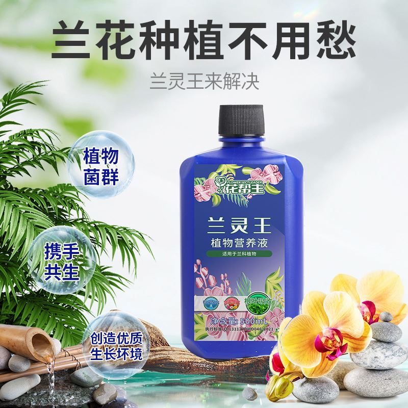 【一件包邮】兰灵王兰花肥料专用肥兰科营养液君子兰墨兰促开花怎么看?