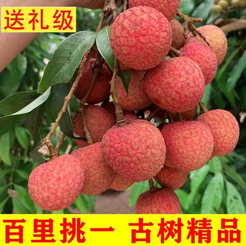 广东增城荔枝怀枝荔枝新鲜水果