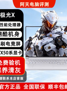MECHREVO机械革命极光X笔记本
