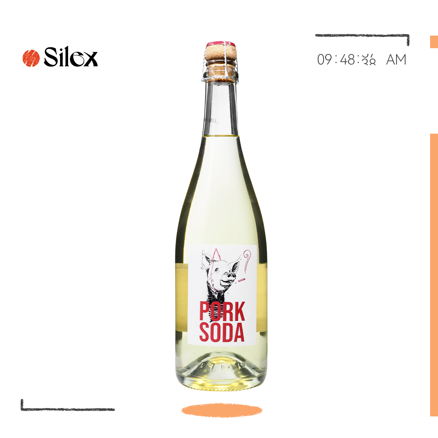 自然酒-小青桔海盐苏打PetNat法国Julien Pineau猪猪起泡白葡萄酒