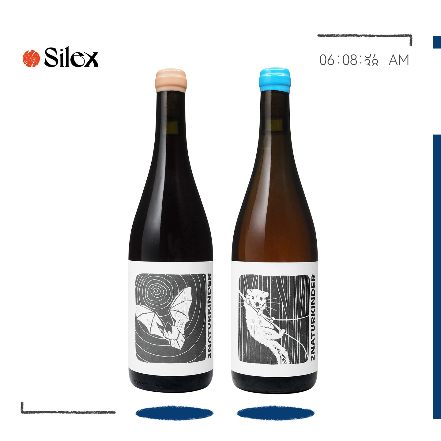 自然酒-野莓黑松露 德国2Naturkinder酒庄蝙蝠红/小睡鼠白葡萄酒