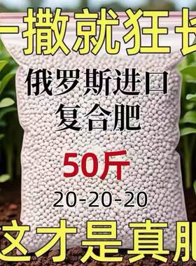 俄罗斯进口氮磷钾复合肥蔬菜花卉