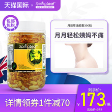 Springleaf月见草软油胶囊丸澳洲月见草油植物油初榨女性内分泌