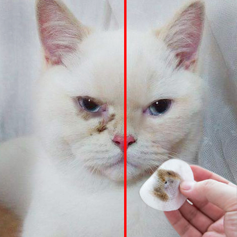 èßä¹·¹·È¥ÀáºÛ